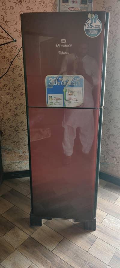 medium size freezer