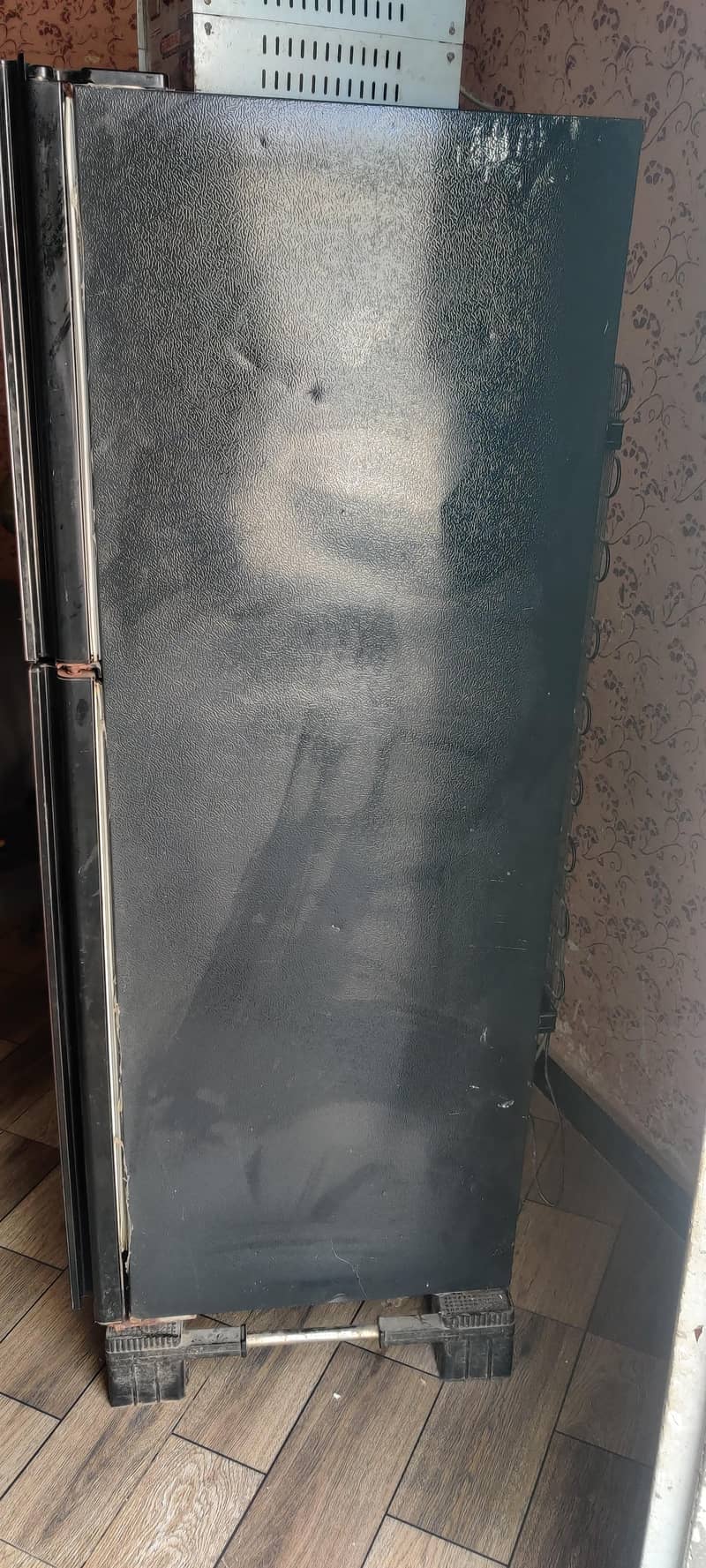 medium size freezer 6