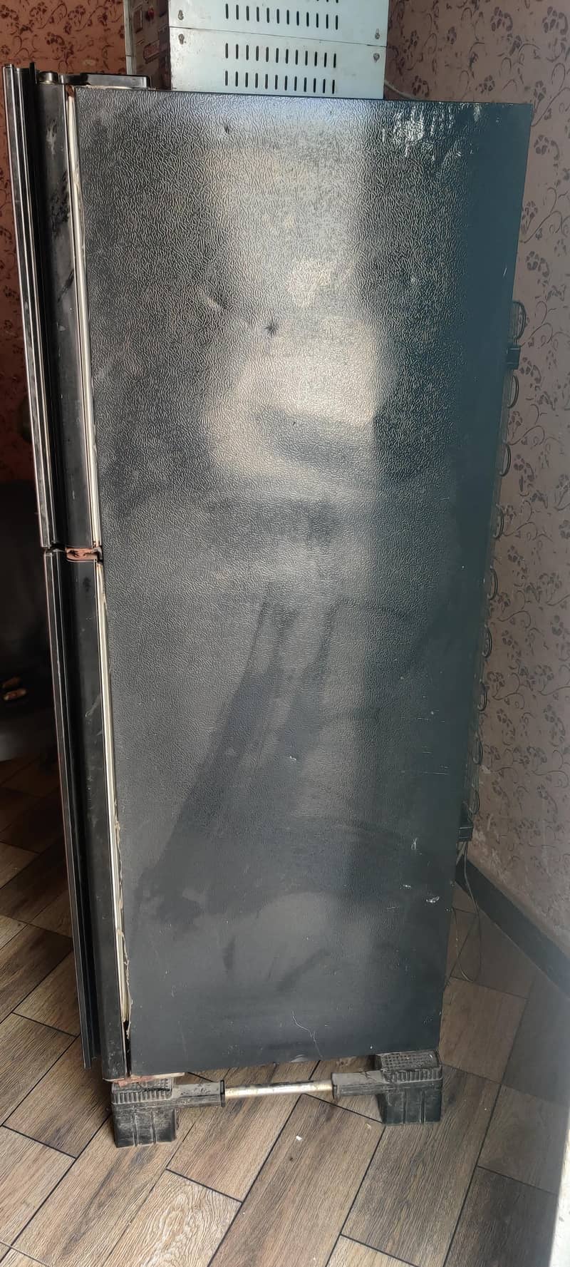 medium size freezer 7