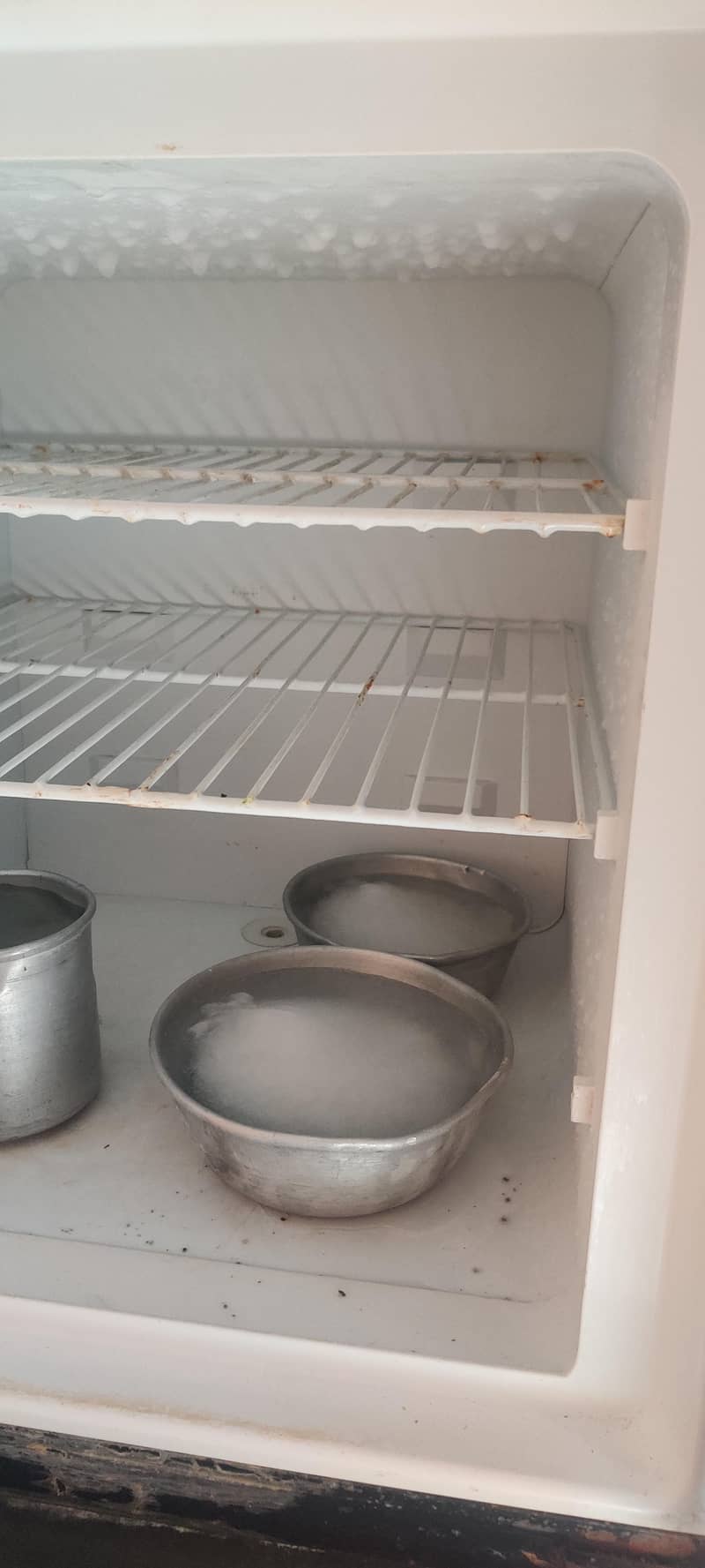 medium size freezer 8