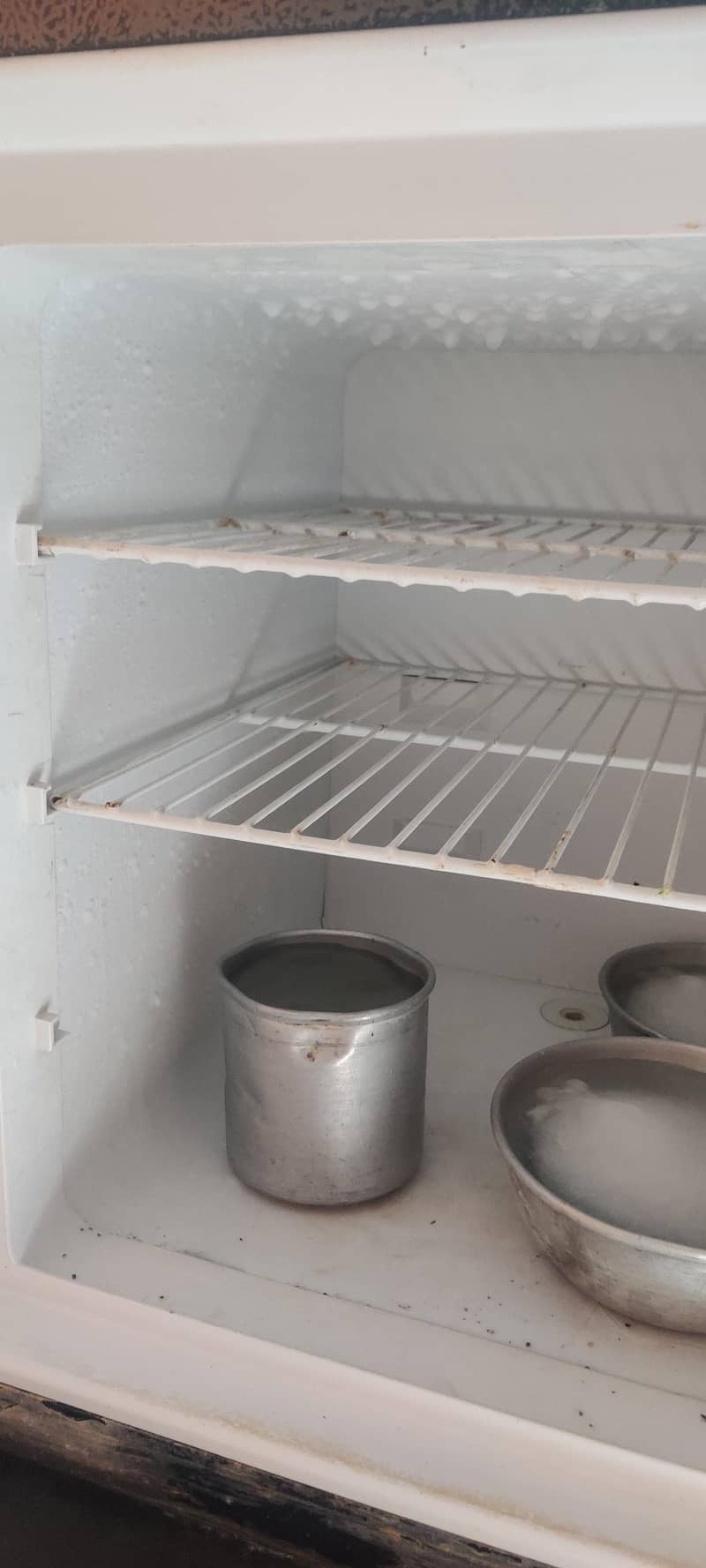 medium size freezer 10
