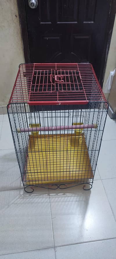 Tote ka Pinjra behtarin condition