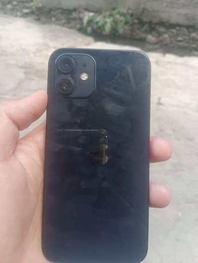 iPhone 12