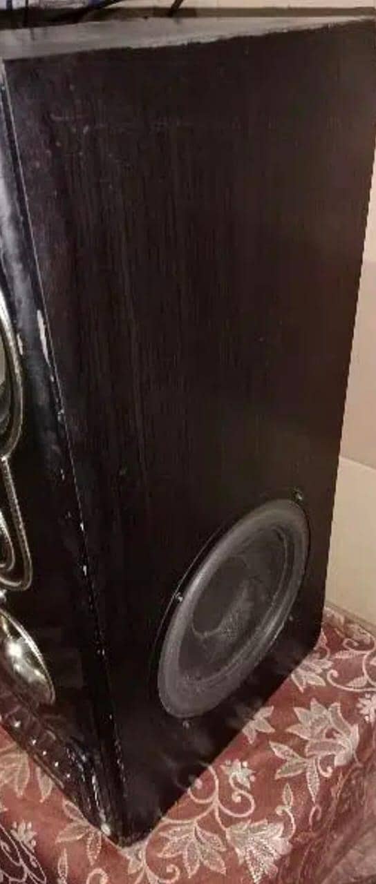 Audionic woofer 2