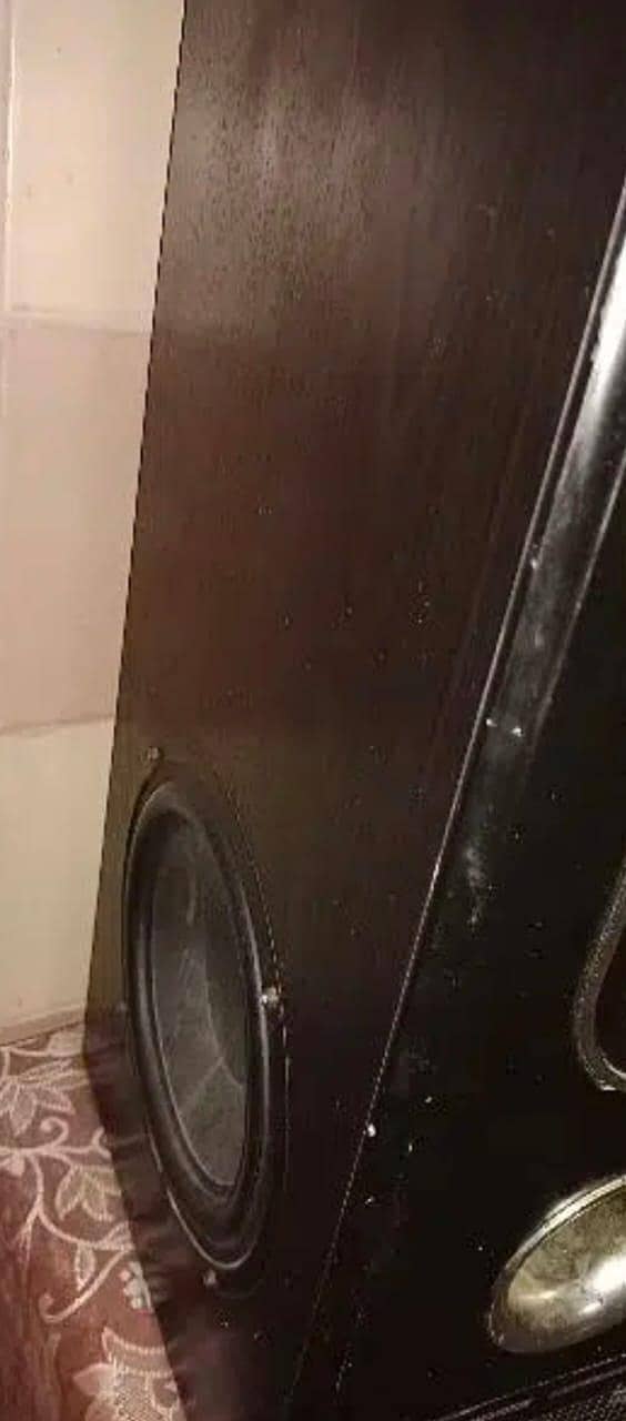 Audionic woofer 3