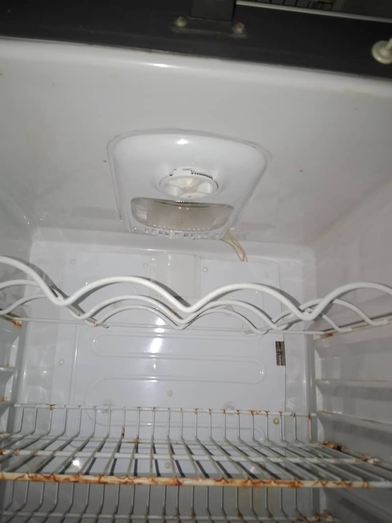 Fridge 1