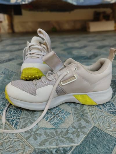 Adidas spikes 2024 model