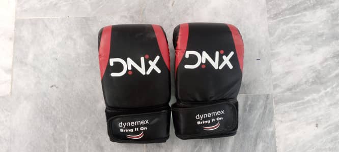 punching bags with gloves and all its attachment