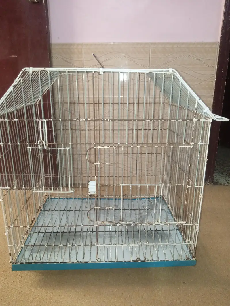 Parrot cage for sale with box option
