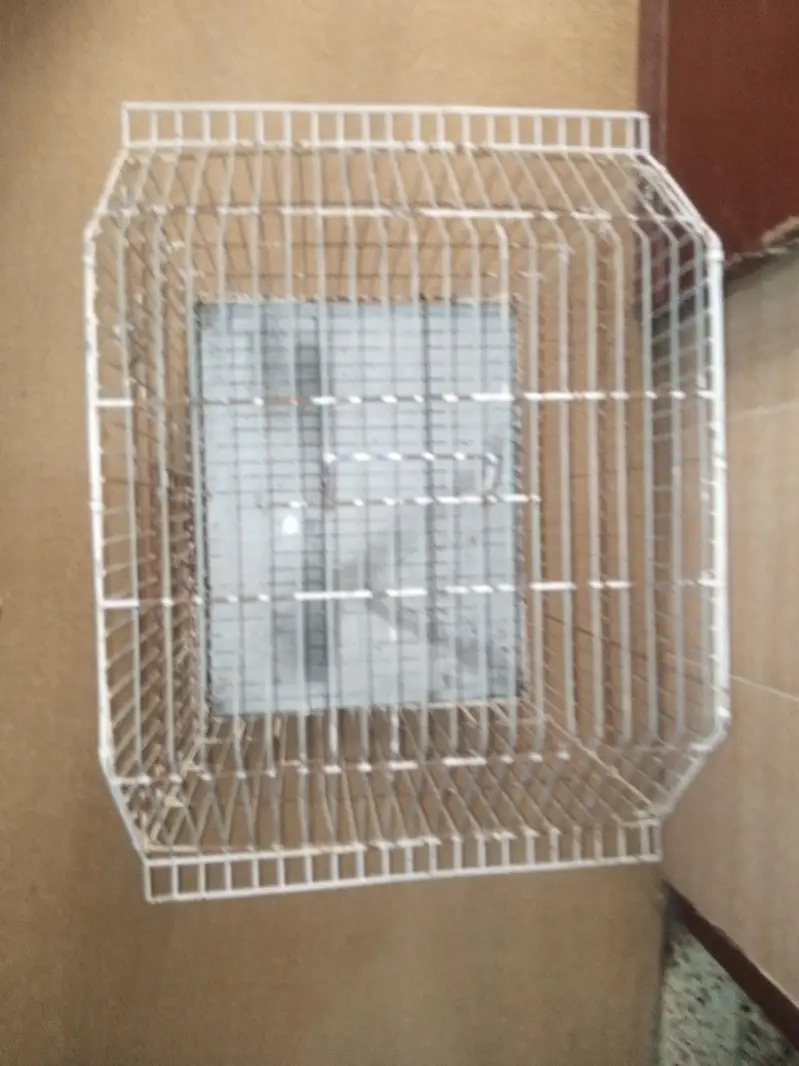 Parrot cage for sale with box option — photo 2