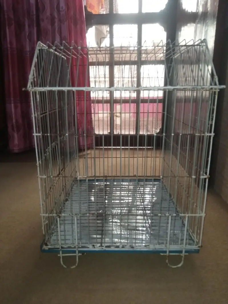 Parrot cage for sale with box option — photo 3