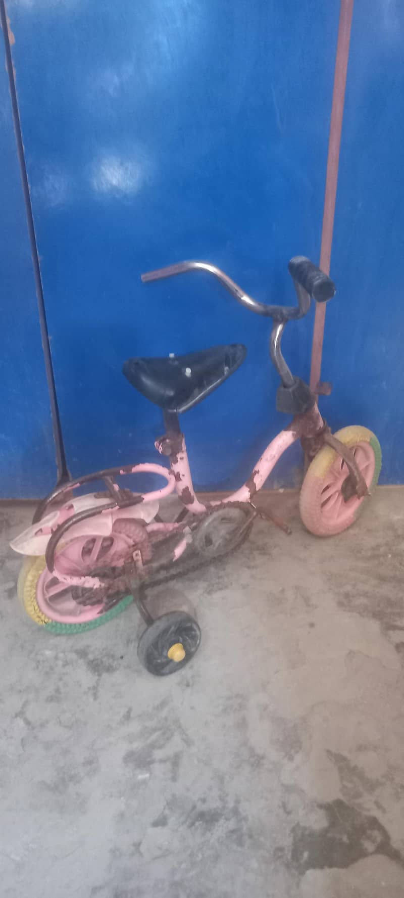 tiny cycle 0