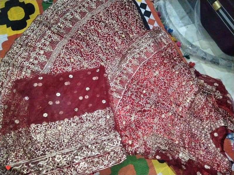 juned jamsheed 2