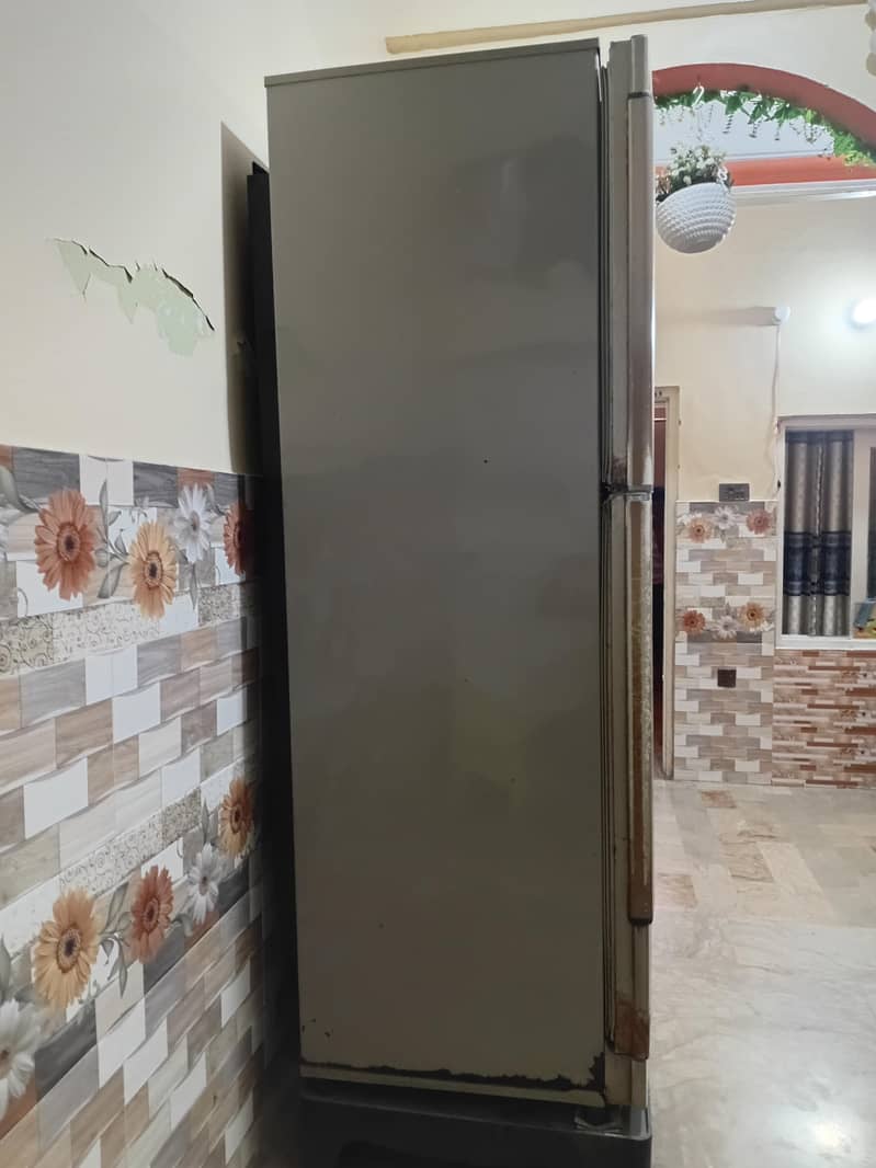 Pel Refrigrator 1