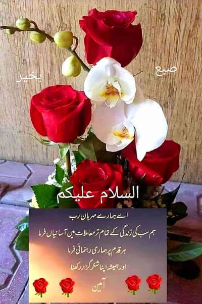 M yousuf