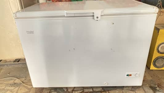 Hair Inverter D-Freezer