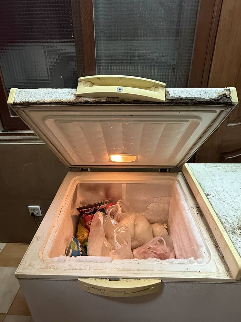 Waves deep freezer 1