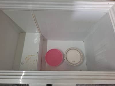 Deep Freezer for Home/Shop Use – Best Price