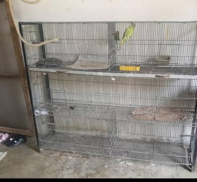 6 portion cage for sale