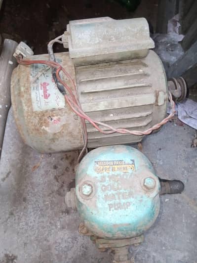 Golden Donkey pump Hico moter