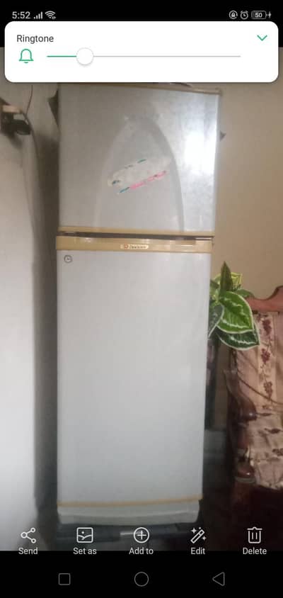 fridge