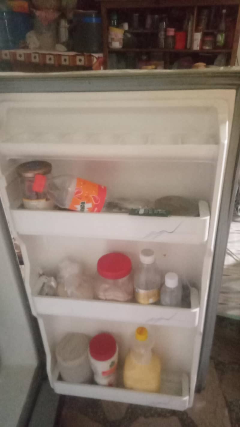 fridge 2
