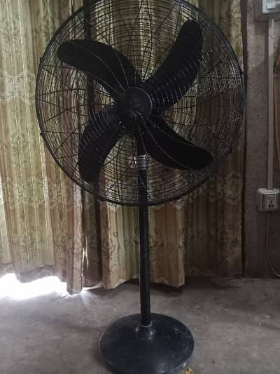 pedestal fan for sale