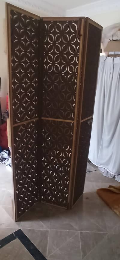 Lasani Foldable door