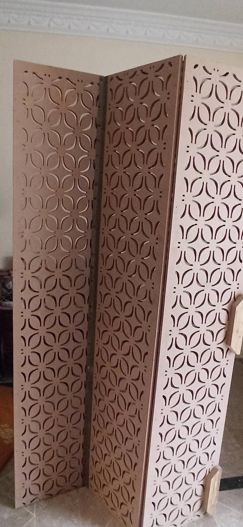 Lasani Foldable door 2