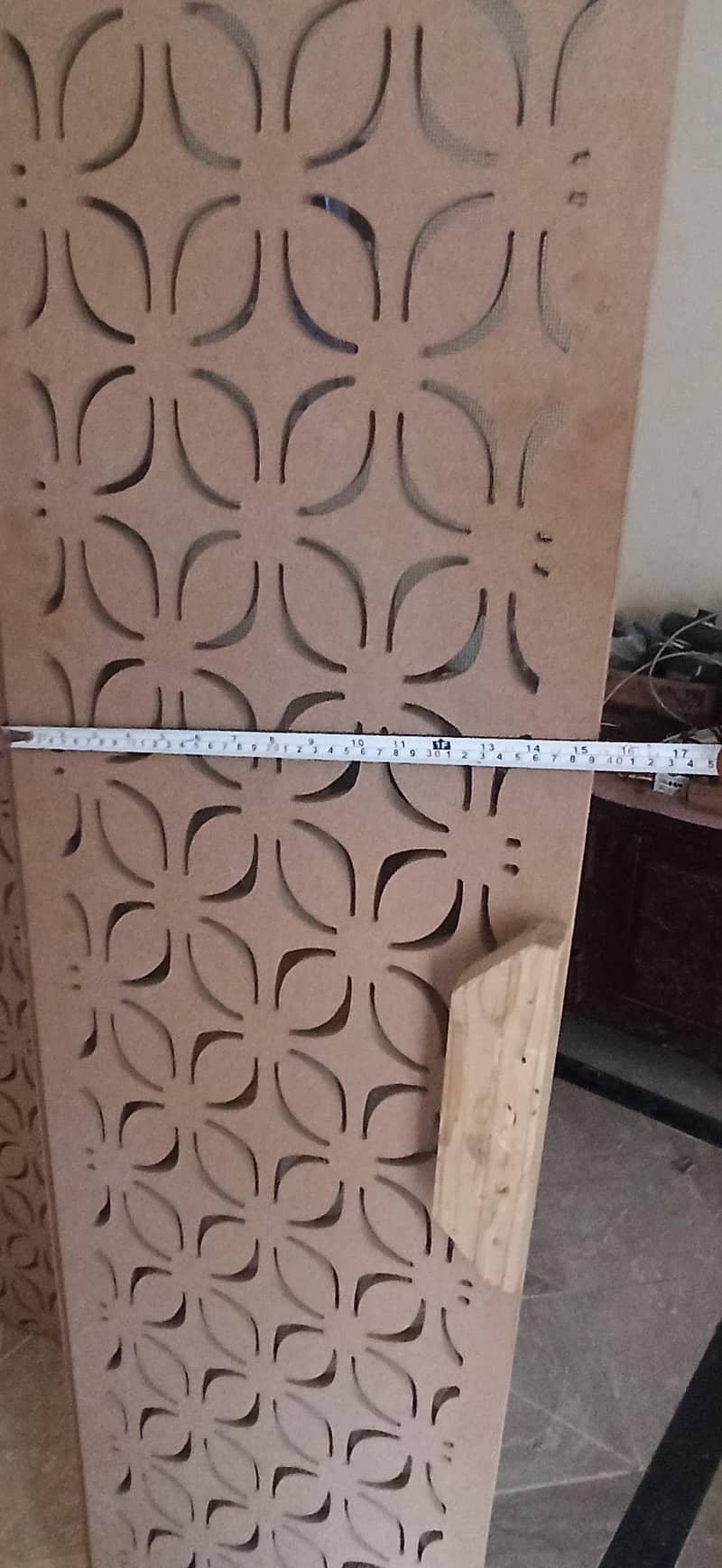 Lasani Foldable door 3