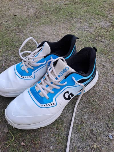 CA greeper shoes. . only one day use