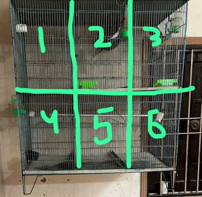 6 Portion Bird Cage for lovebirds budgies cocktails (Only Cage)