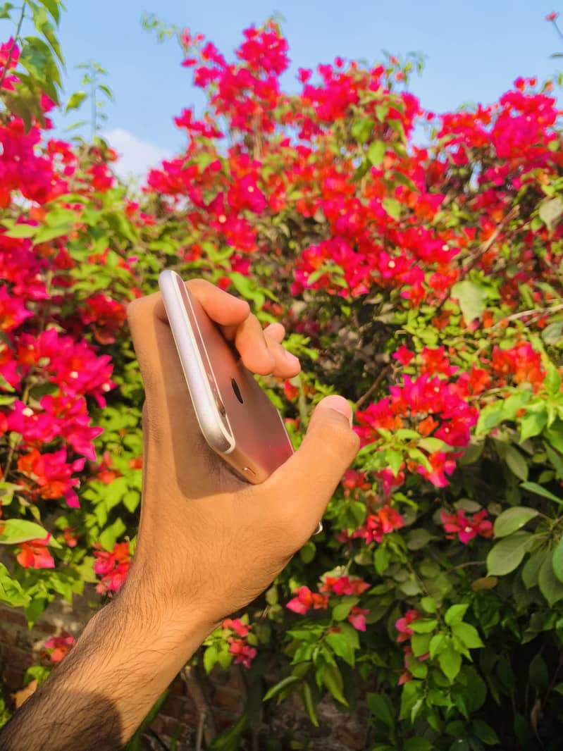 Iphone 6s plus 2