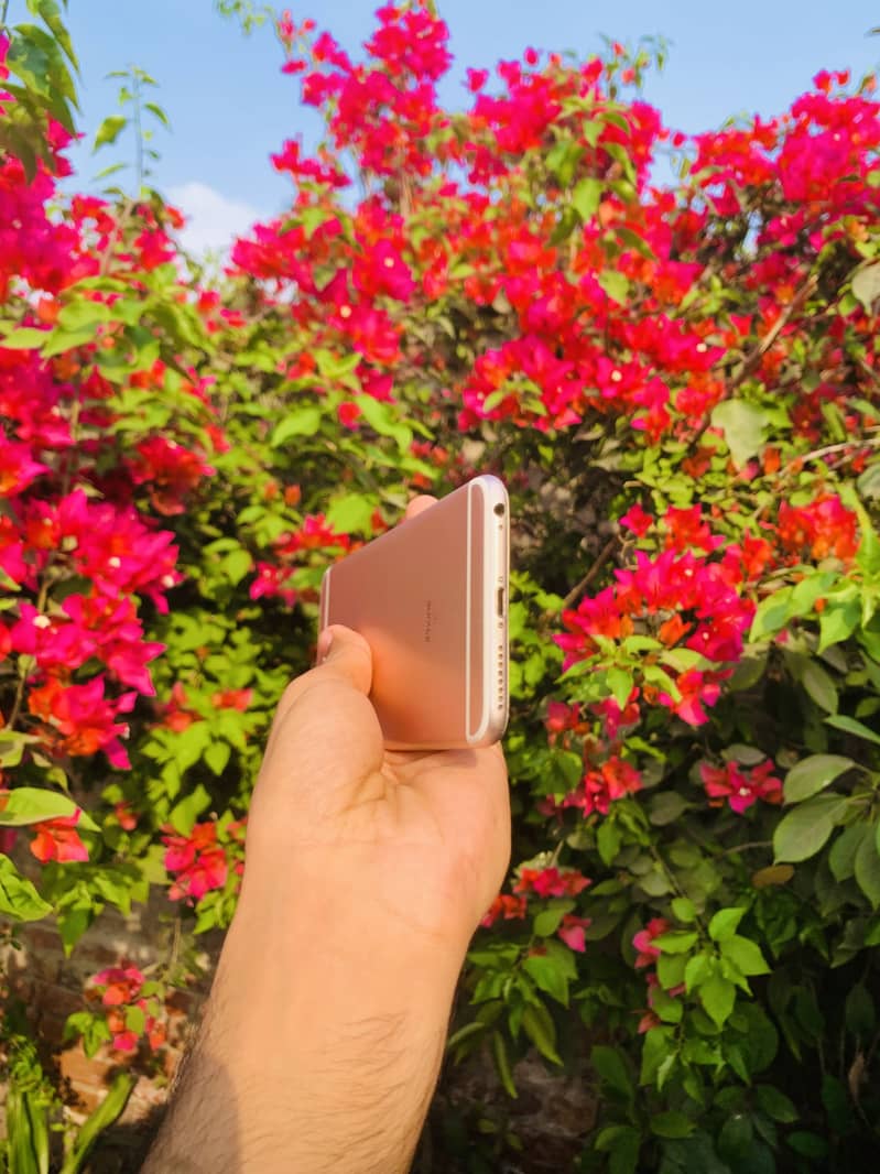 Iphone 6s plus 3