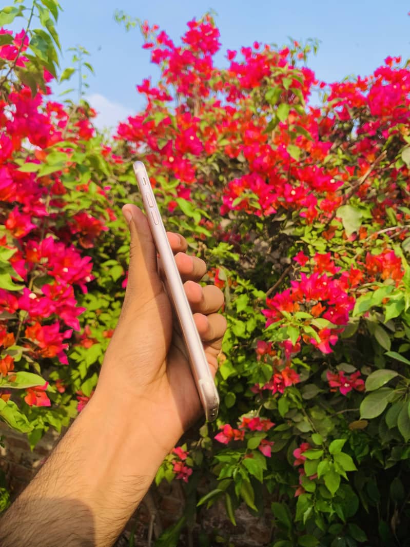 Iphone 6s plus 4