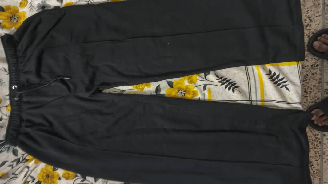 Pleated Trausers 2