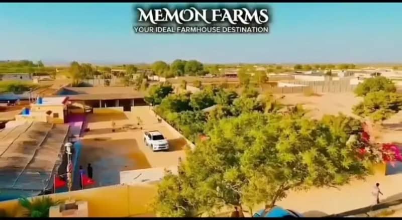 Cattle farm 1