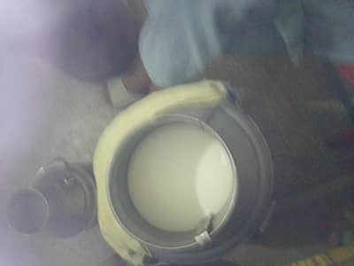 Fresh Milk