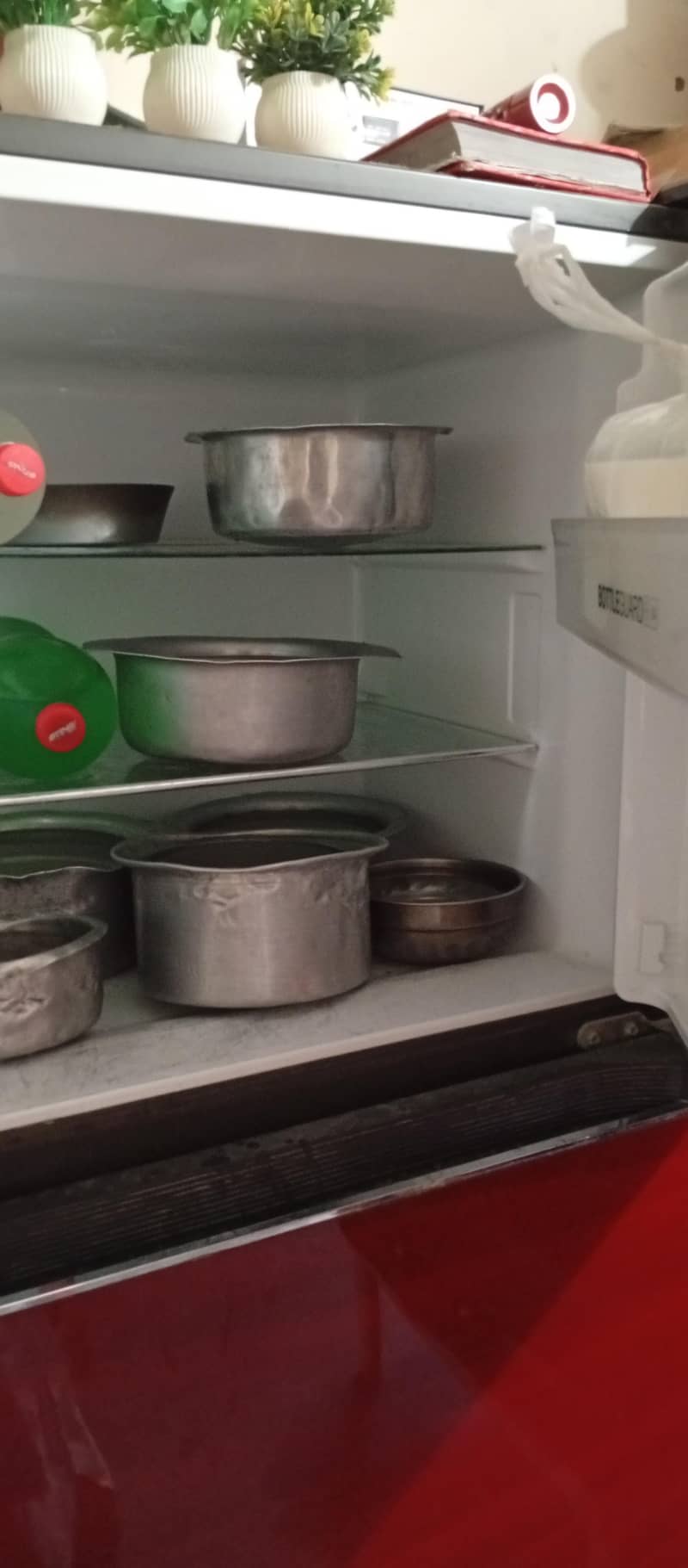 Fridge 1