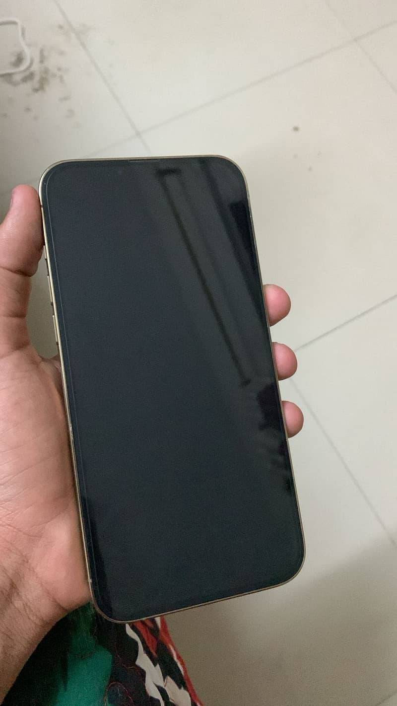 iPhone 13 pro max 1