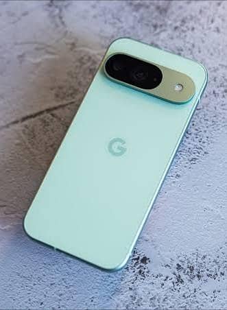 Google pixel 9 (Waterpack)