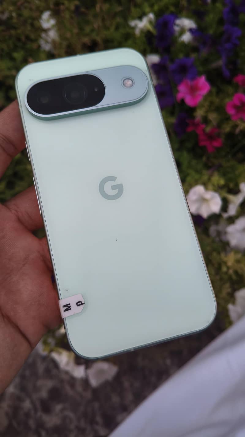 Google pixel 9 (Waterpack) 1