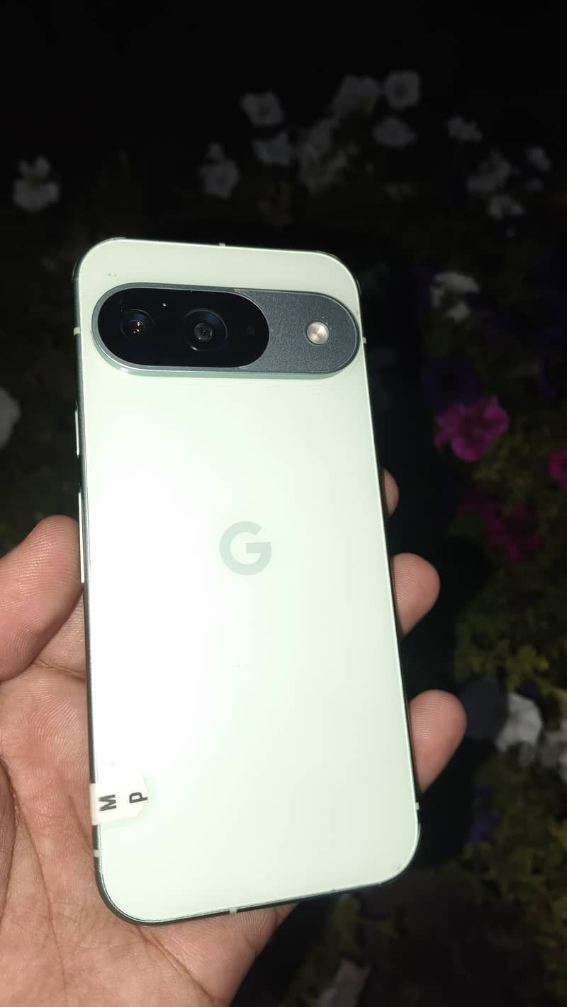 Google pixel 9 (Waterpack) 4