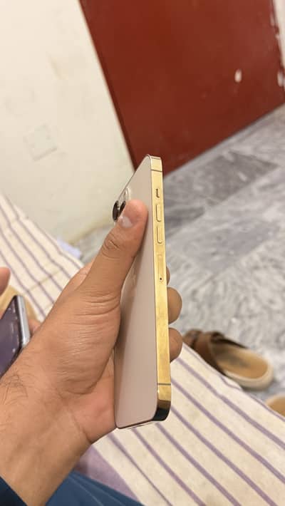 Iphone 13 pro max  factory unlocked