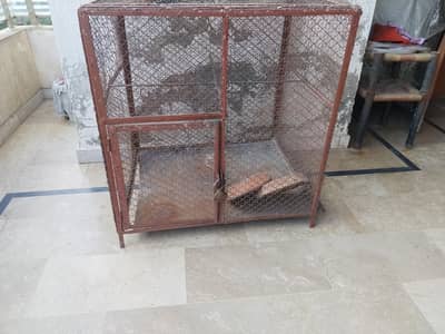 iron cage