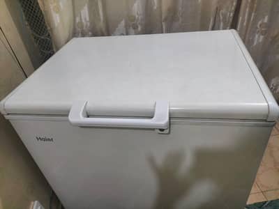 Haier Freezer