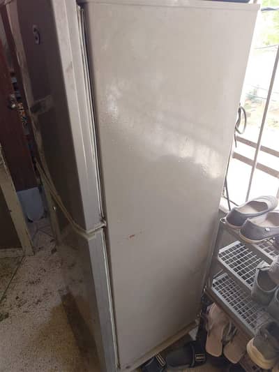 pel fridge