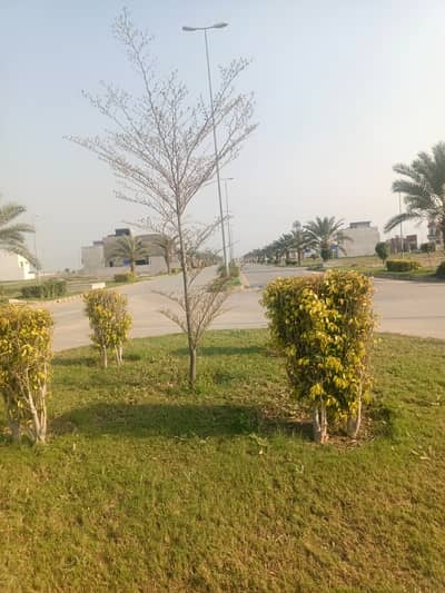 5 Marla Developed Plot In Block E1 Citi Housing Sargodha Road Faisalabad