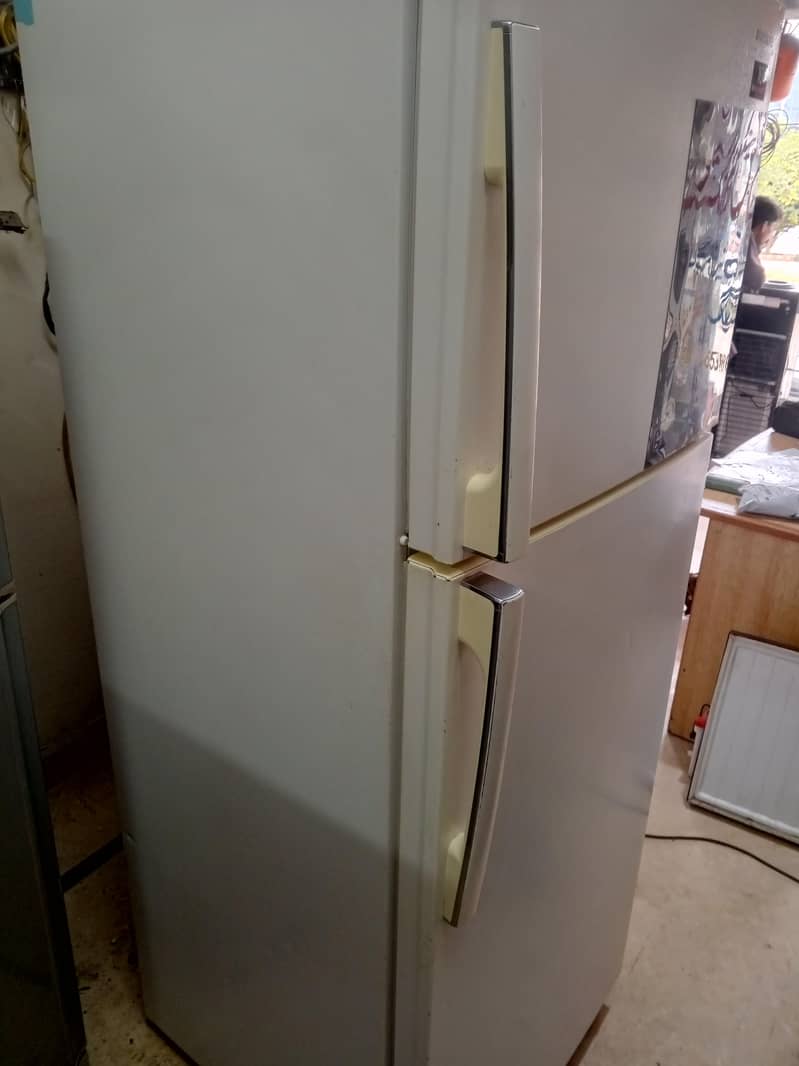 Fridge 5