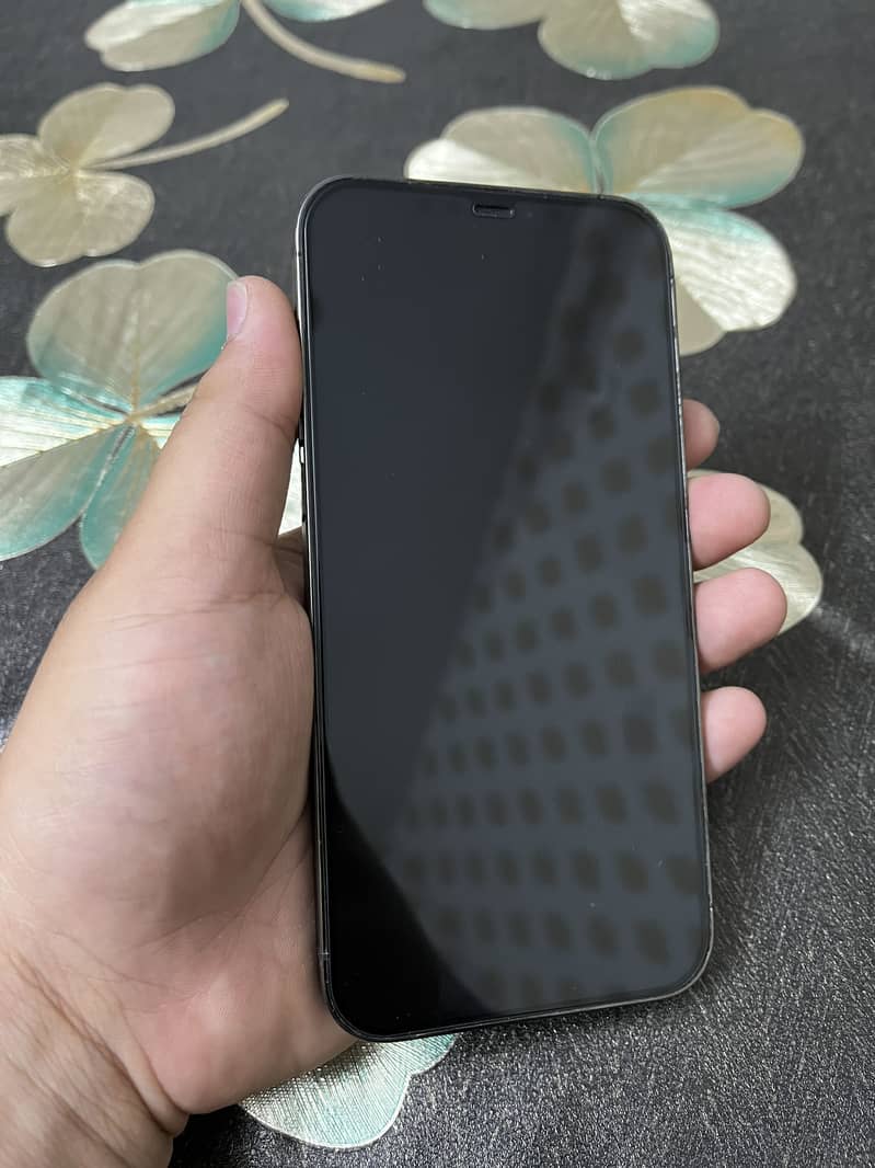 Iphone 12 pro max 9